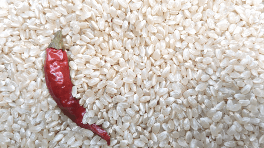 玄米の常温保存に失敗したときのサイン